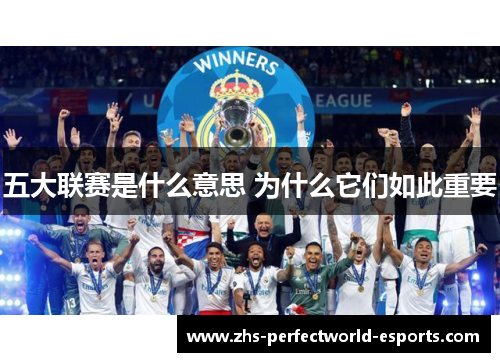 五大联赛是什么意思 为什么它们如此重要