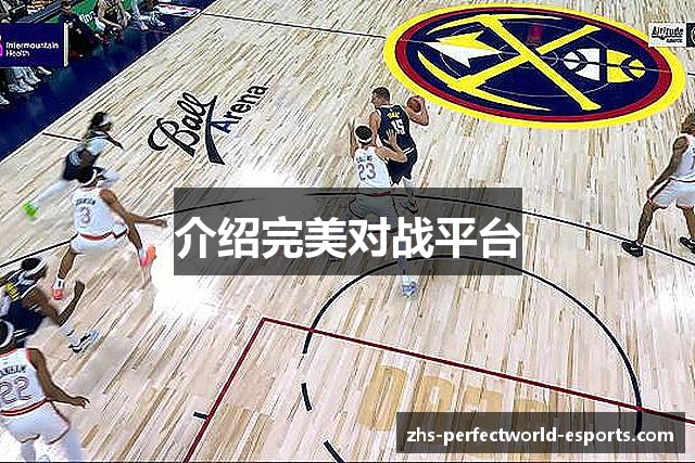 介绍完美对战平台